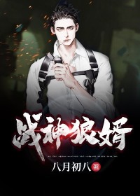 神龙佳婿/战神狼婿/杀神守夜人