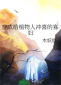 穿成给植物人冲喜的寡妇