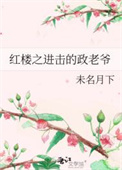 红楼之进击的政老爷